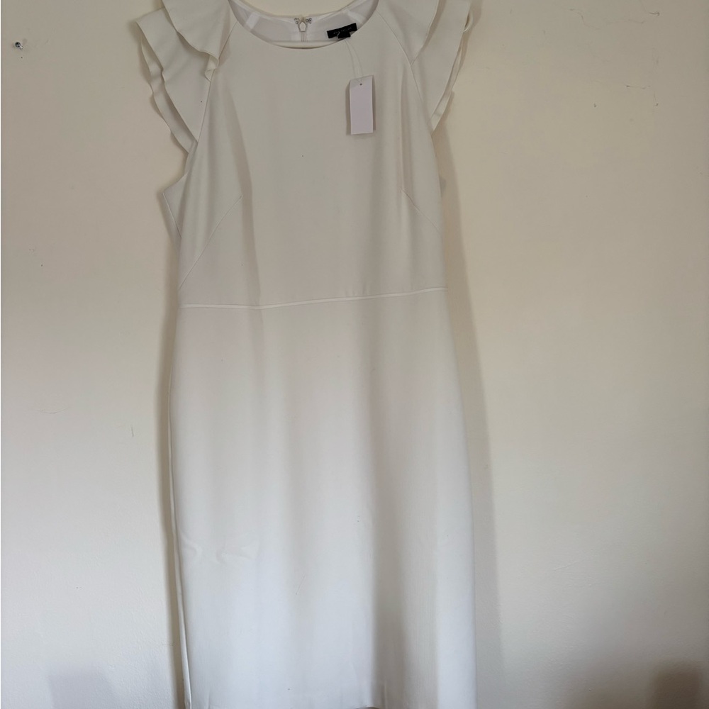 New Ann Taylor dress
